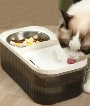 Bebedouro Pet - Imagem 2